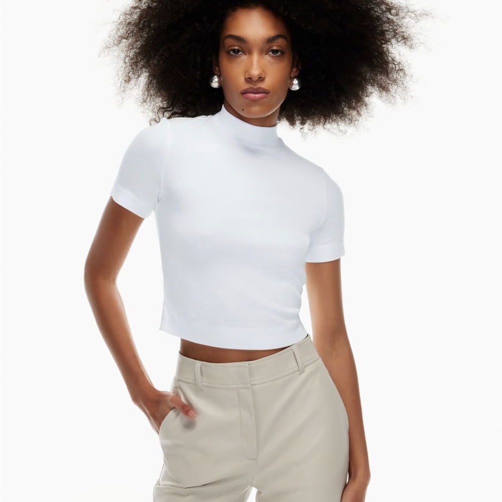 Aritzia Babaton Soft Rib Mock Neck Top